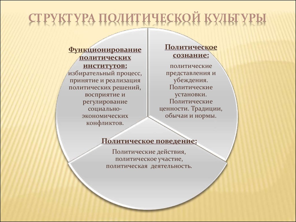 Общественно политические ценности это