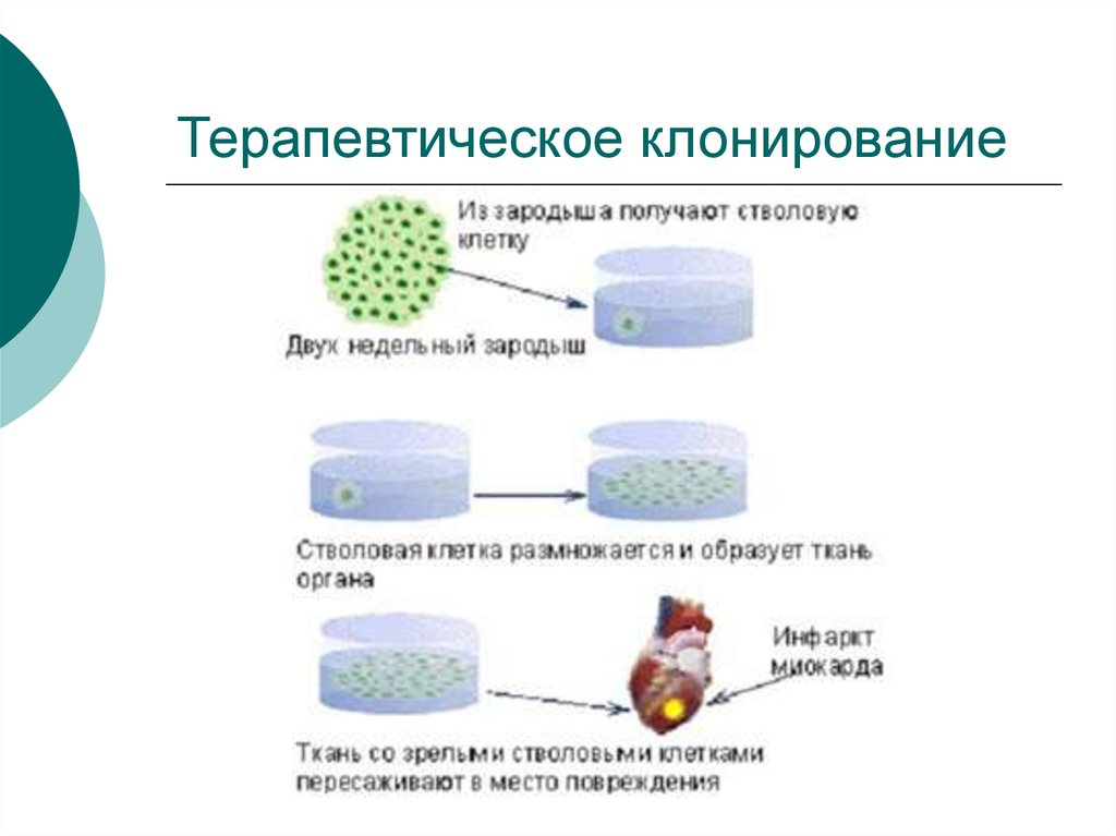 Клонирование голоса по образцу онлайн