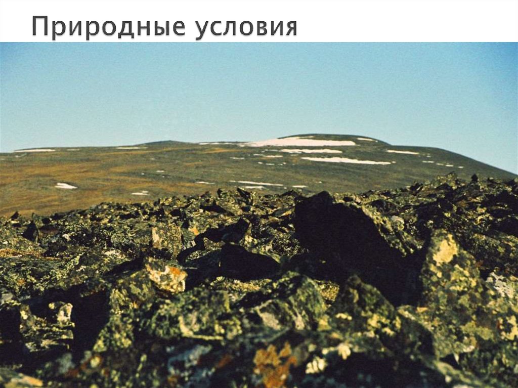 Природные условия