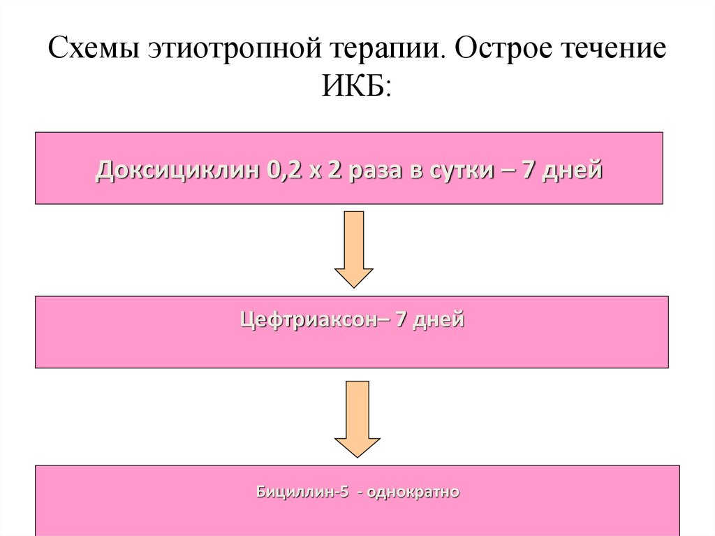 Схемы лечения боррелиоза