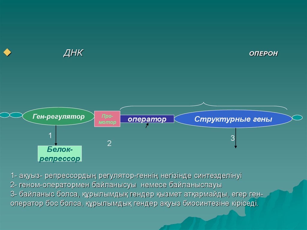 Регуляция активности генов у прокариот схема жакоба моно