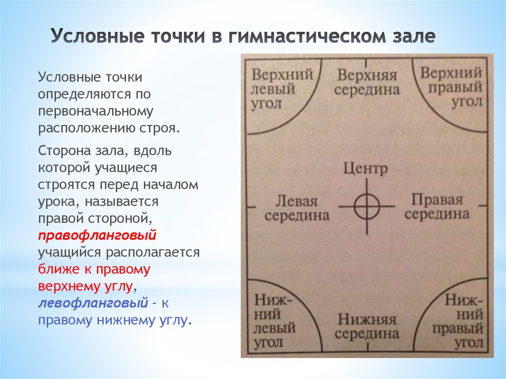 Схема гимнастического зала