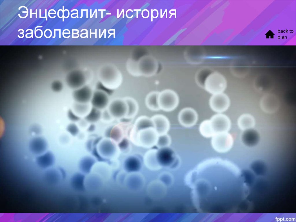 Японский энцефалит - презентация онлайн