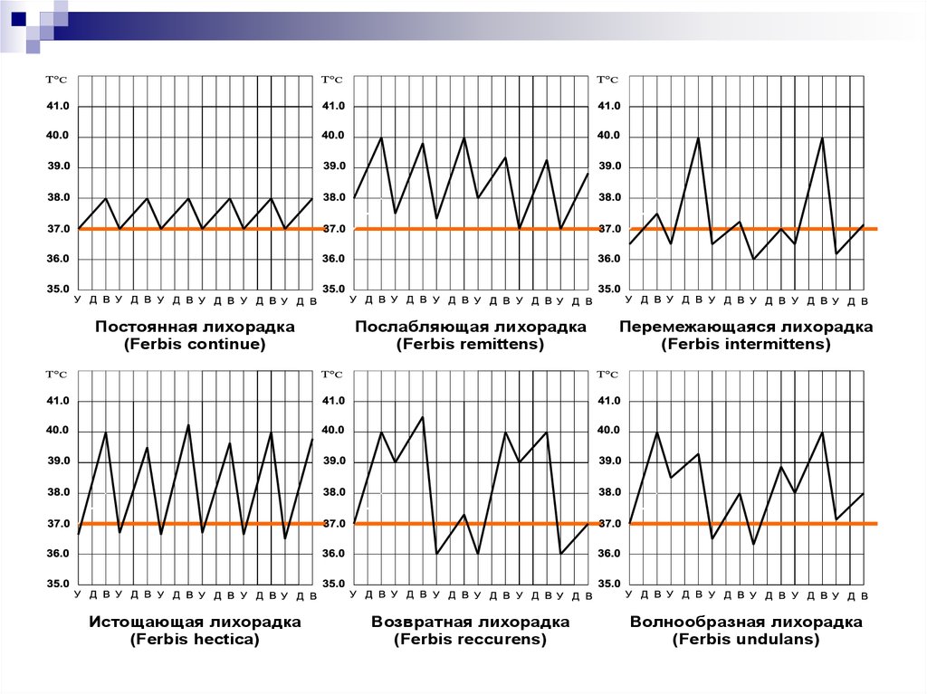 Лихорадка патофизиология презентация