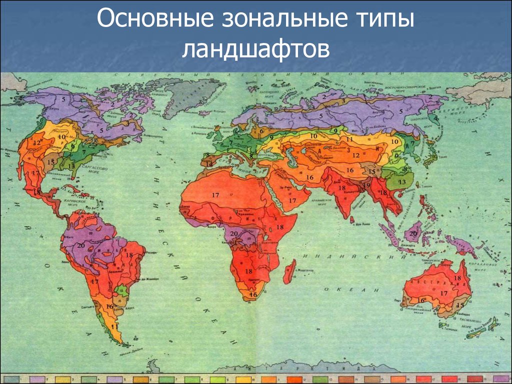 Биомы суши карта