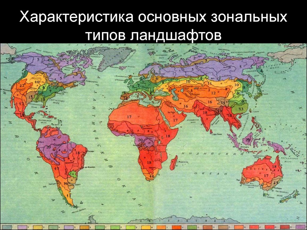 Виды ландшафтов. Типы ландшафтов. Зональные ландшафты. Типы природных ландшафтов. Характеристика основных типов ландшафтов.