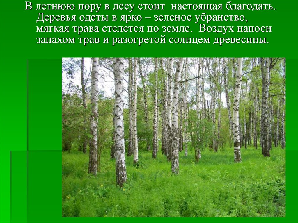 Отправилась в лес. Летняя пора лес. Поехали в лес. В летнюю пору в лесу стоит настоящая Благодать. Хорошо в лесу весной деревья надели зеленый наряд.