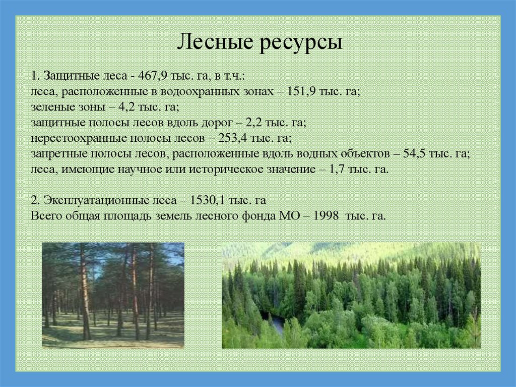 Природные ресурсы лесных зон россии. Лесные ресурсы. Лесные ресурсы леса. Защитные полосы лесов. Защитные леса эксплуатационные леса.