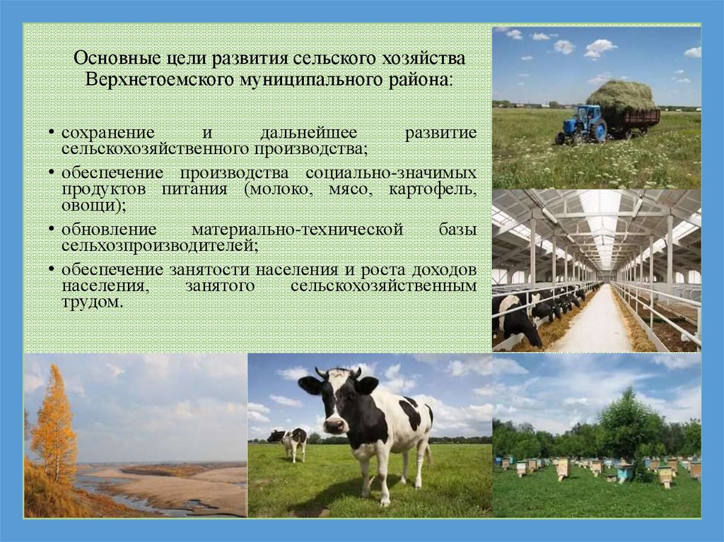 Как развивается хозяйство. Основная цель сельского хозяйства. Задачи развития сельского хозяйства. Цели и задачи сельского хозяйства. Основные цели сельского хозяйства.