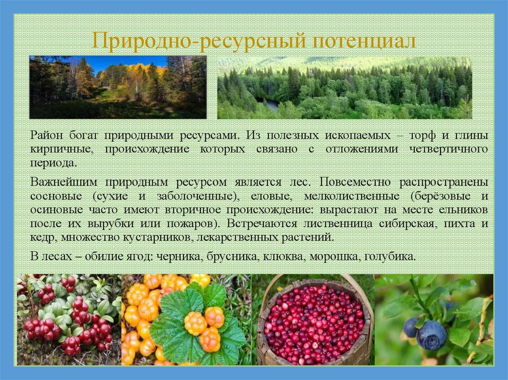 Природные ресурсы природно ресурсный потенциал. Природоресерсный потенциал. Природноресурсый потенциал. Природно-ресурсный потенциал. Природно-ресурсный потенциал территории.