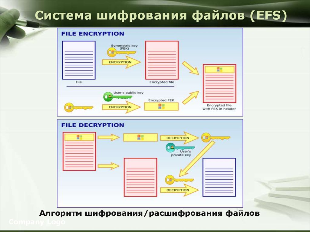 Шифрование файлов. Система шифрования. Процедура шифрования файлов. Модель системы шифрования. Алгоритм шифрования EFS.