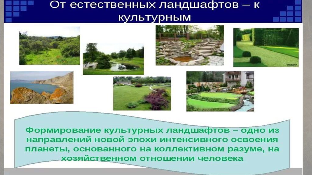 Городские ландшафты презентация