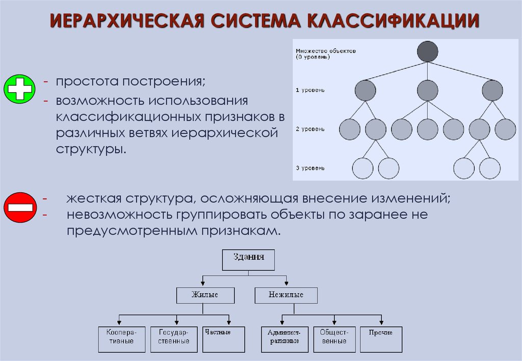иерархическая система классификации
