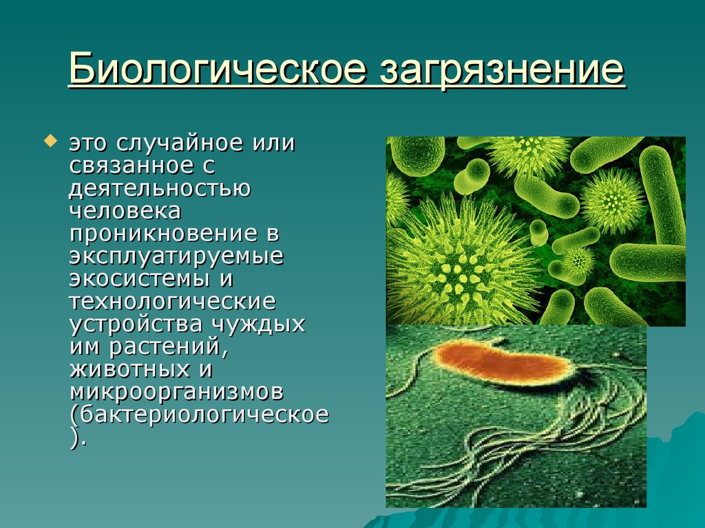 Презентация по биологии человек и окружающая среда