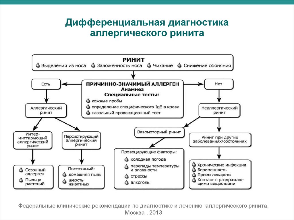 Схема лечения вирусного ринита