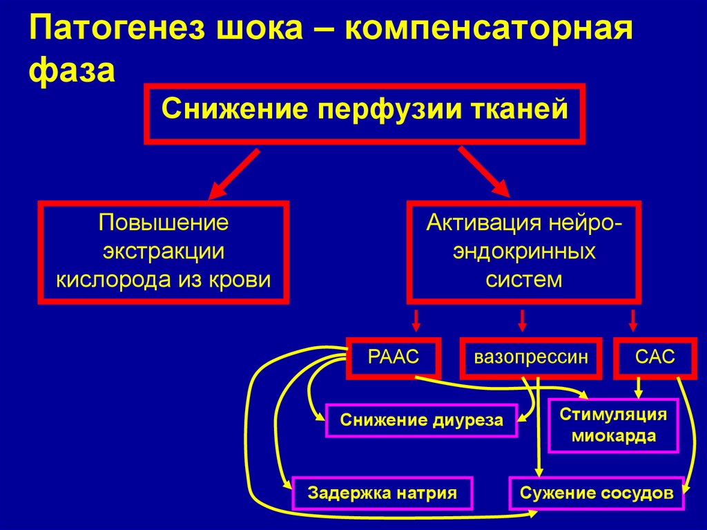 Токсический шок патогенез