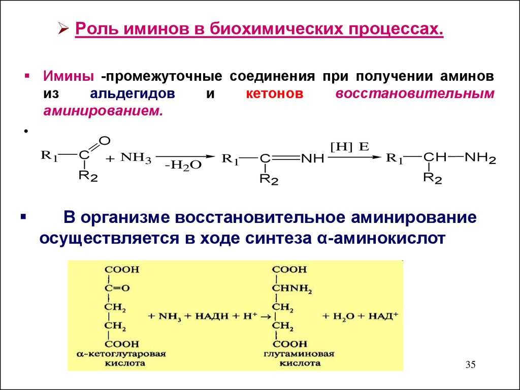 Заполните пропуски в схемах биохимических реакций с участием воды