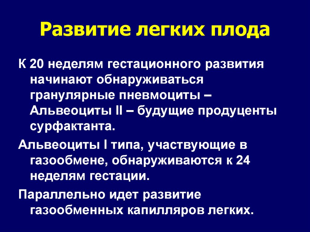 Возникновение легких. Развитие лёгких. Этапы формирования легких. Периоды развития легких. Особенности развития легочной системы плода.