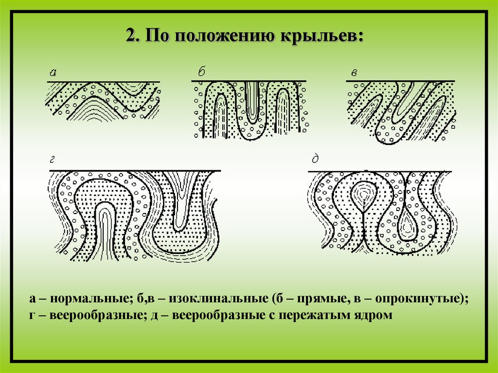 Сопоставьте элементы рисунка а б в г с типами складок по положению крыльев