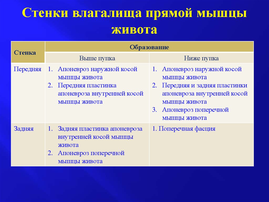 Слабые стенки. Стенки влагалища прямой мышцы живота. Образование влагалища прямой мышцы живота. Передняя стенка влагалища прямой мышцы живота выше пупка образована. Передняя стенка влагалища прямой мышцы живота ниже пупка образована.