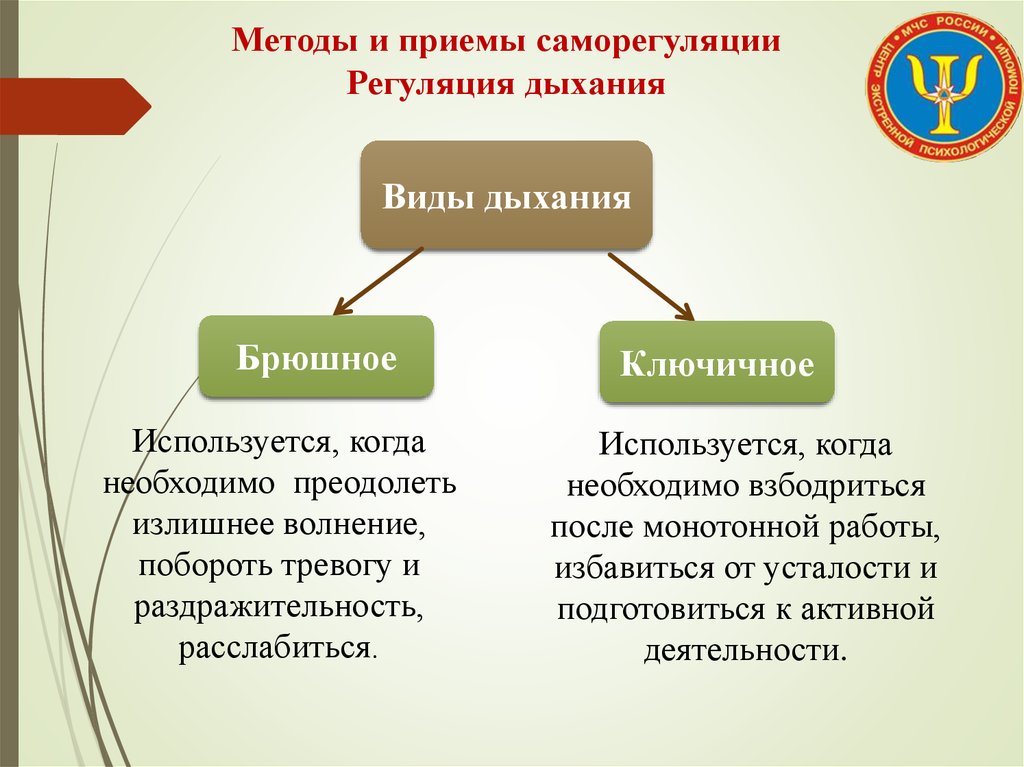 Общество саморегуляции