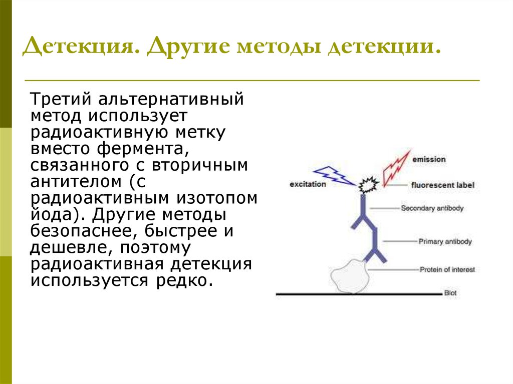 Детекция. Методы детекции. Альтернативный метод. Метод радиоактивной метки суть метода. Детекция это в биологии.