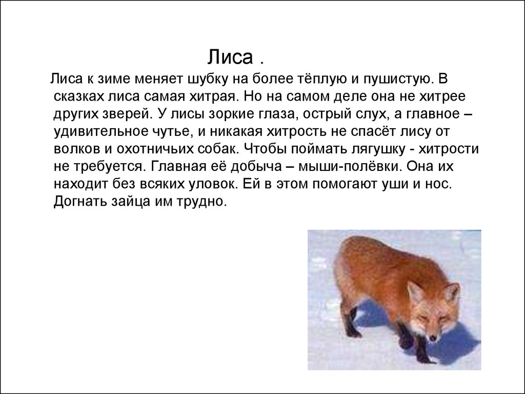 Тексте рассказ описание. Рассказ о лисе 2 класс литературное чтение. Лиса описание для детей 2 класса. Рассказ про животное лиса 3 класс. Рассказ про лису 2 класс.