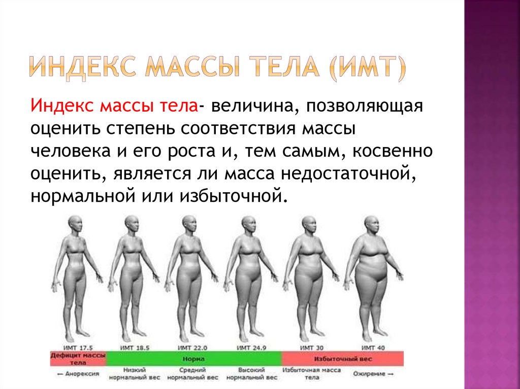 Изменение массы тела. Индекс массы тела. ИМТ массы тела. Индекс массы тела для женщин. Ожирение 1 степени у женщин ИМТ.