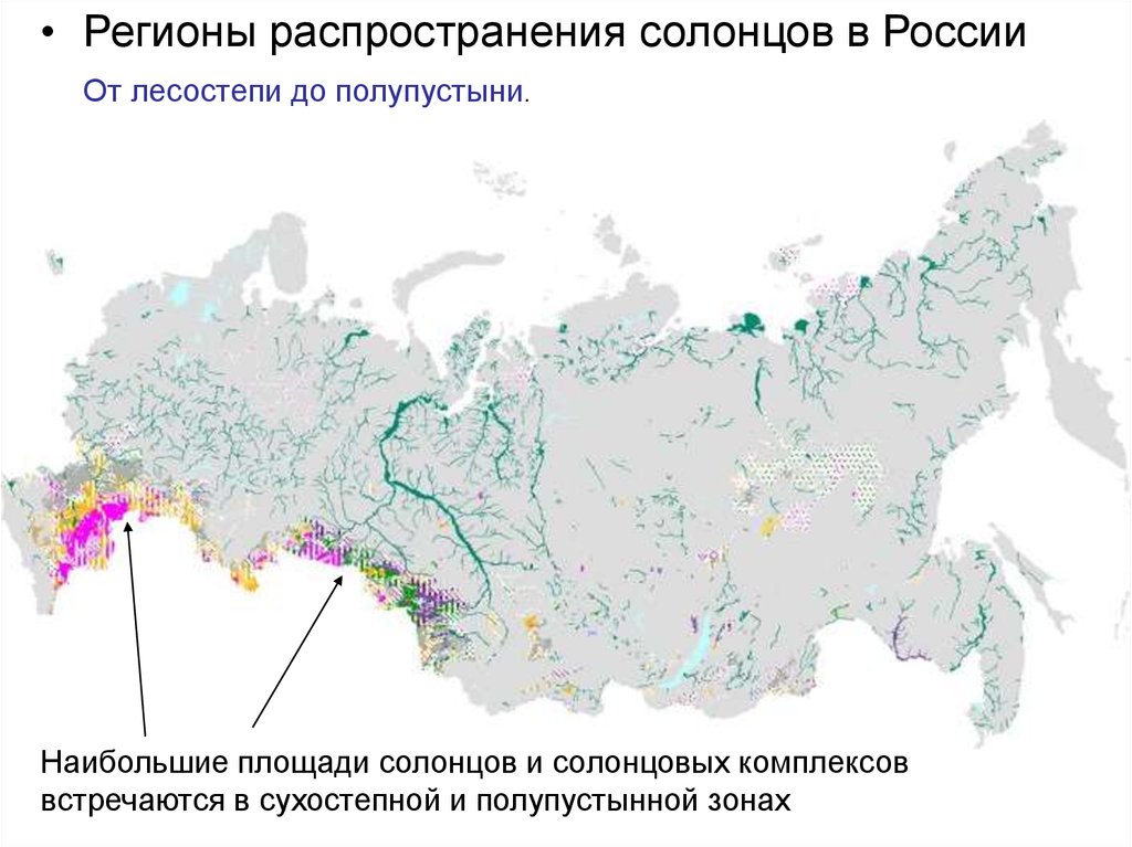 Сильно засоленные почвы россии