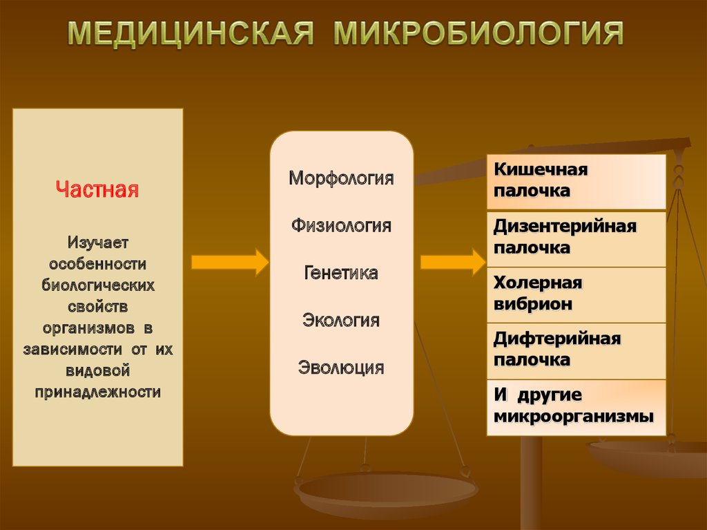 Микробиология изучает