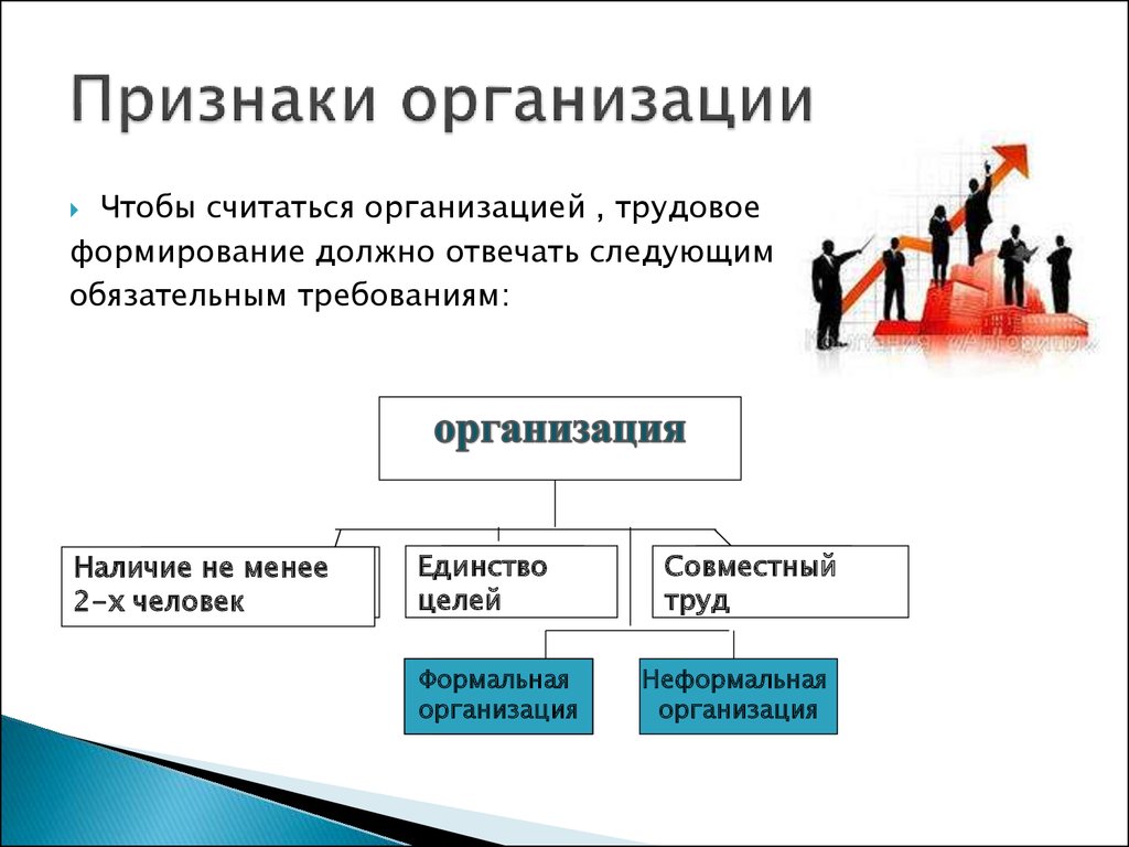 Основные признаки организации