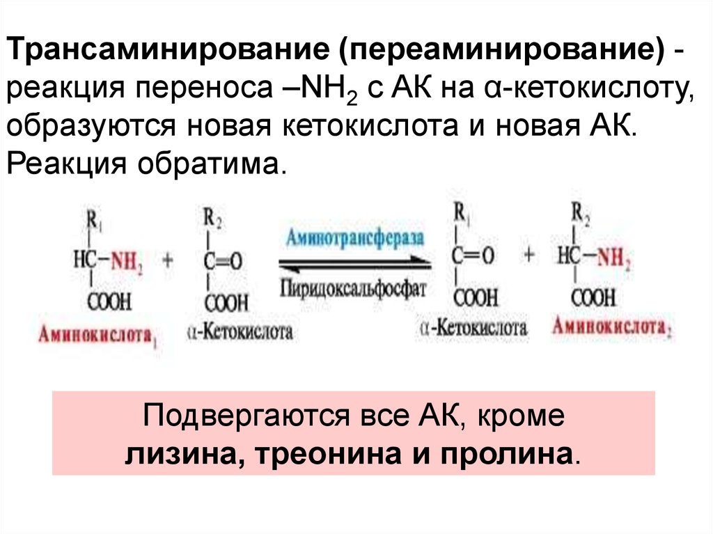 Кетокислоты аминокислот. Трансаминирование аминокислот реакции. Процесс трансаминирование аминокислот. Трансаминирование аминокислот аланин. Схема трансаминирования аминокислот.