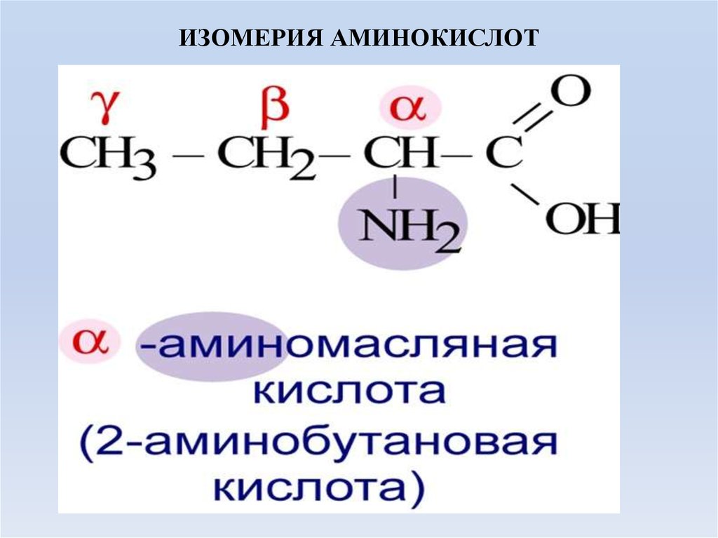 Изомерия аминов