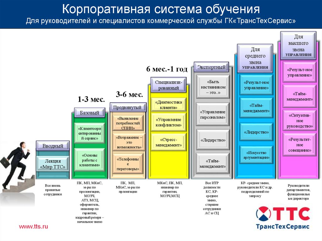 Структура сц