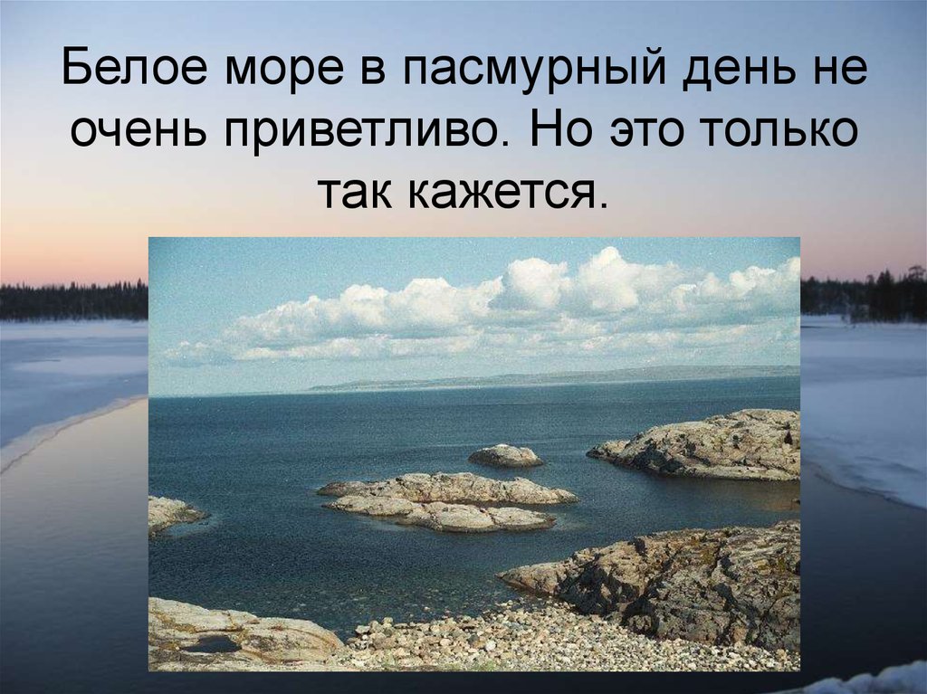 Проект белое море