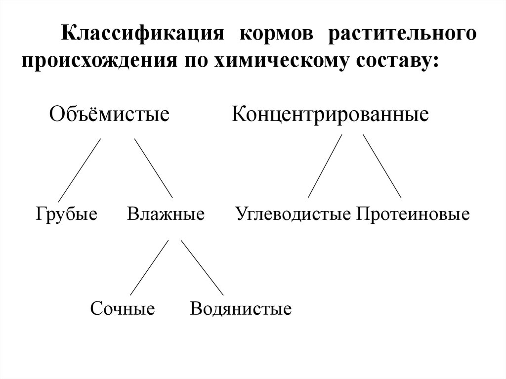 Лекция по теме Химические токсикозы. Отравления животных натрия хлоридом и соединениями фтора