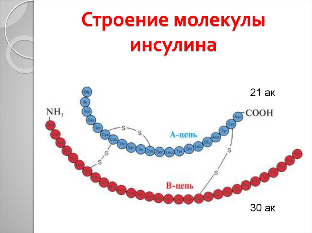 Схема опк биохимия