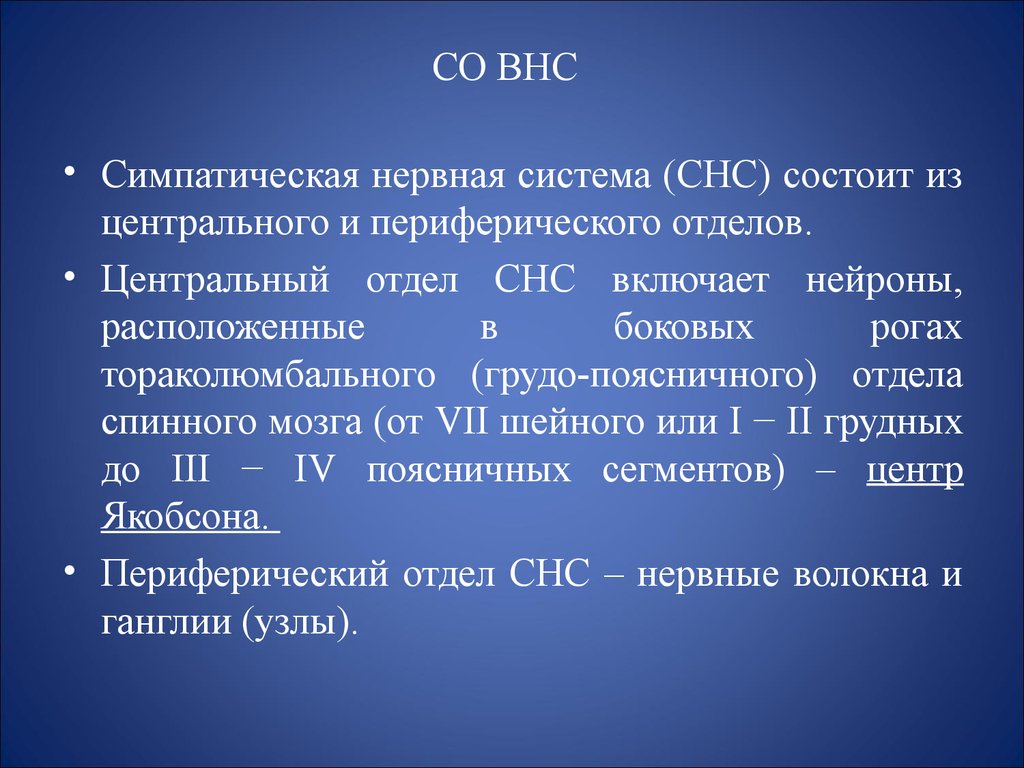 Абс сн с. ВНС И СНС. СНС нервная система. Периферический отдел СНС. Сертралин нервы система (СНС).