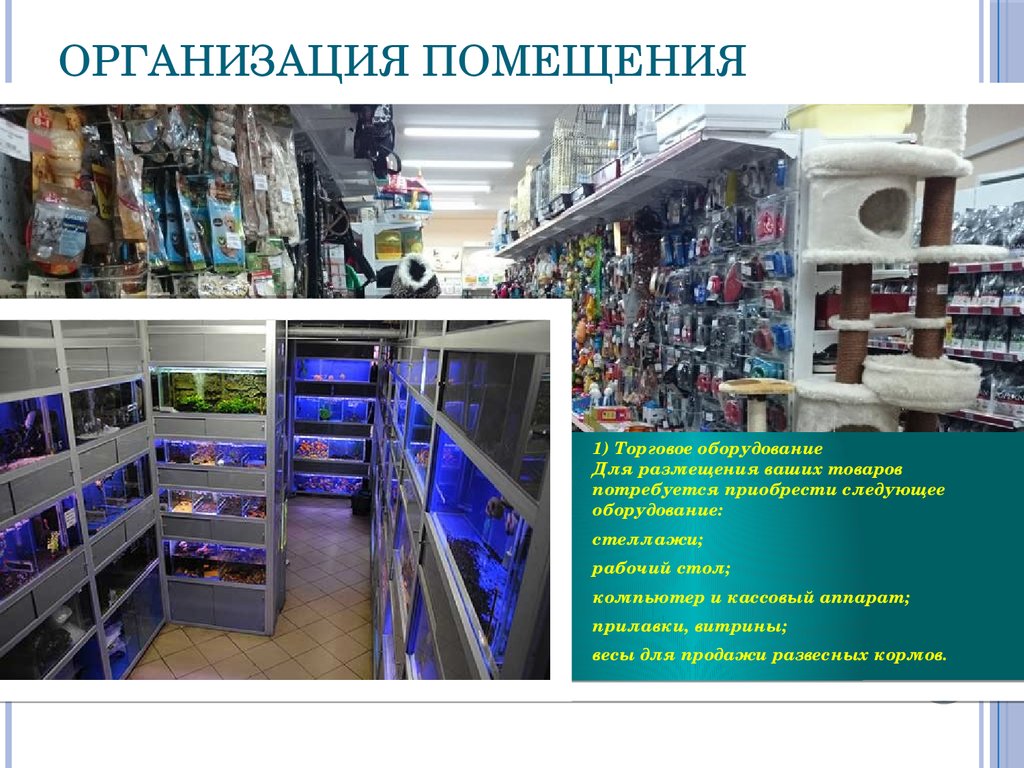 Бизнес план открытие зоомагазина с нуля