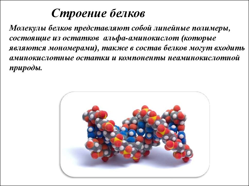 Аминокислоты и белки презентация по химии 9 класс