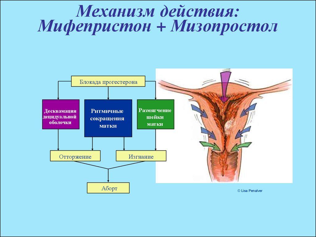 Беременность после мифепристона. Механизм действия мифепристона и мизопростола. Мифепристон для стимуляции родовой деятельности. Мифепристон и мизопростол для прерывания беременности. Мифепристон при стимуляции родов.