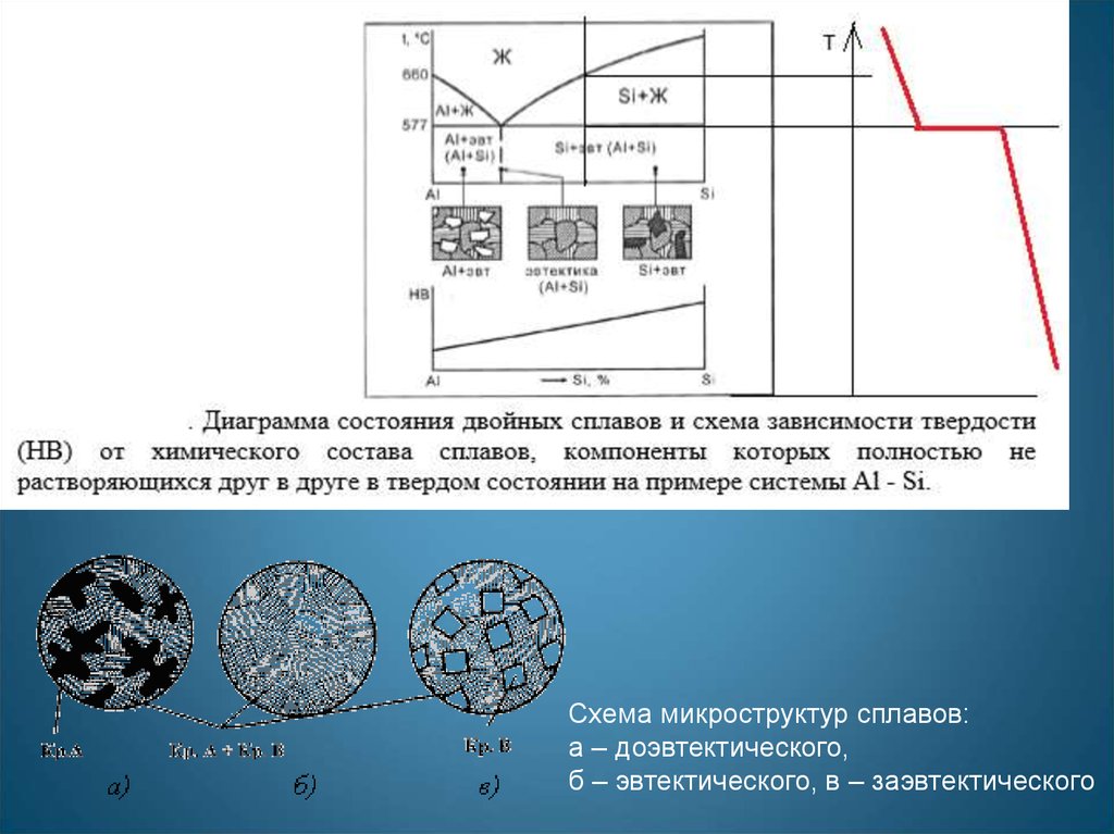 Увеличение плотности. Схемы микроструктур сплавов. Доэвтектический сплав. Схема заэвтектического сплава. Рост плотности дислокаций.