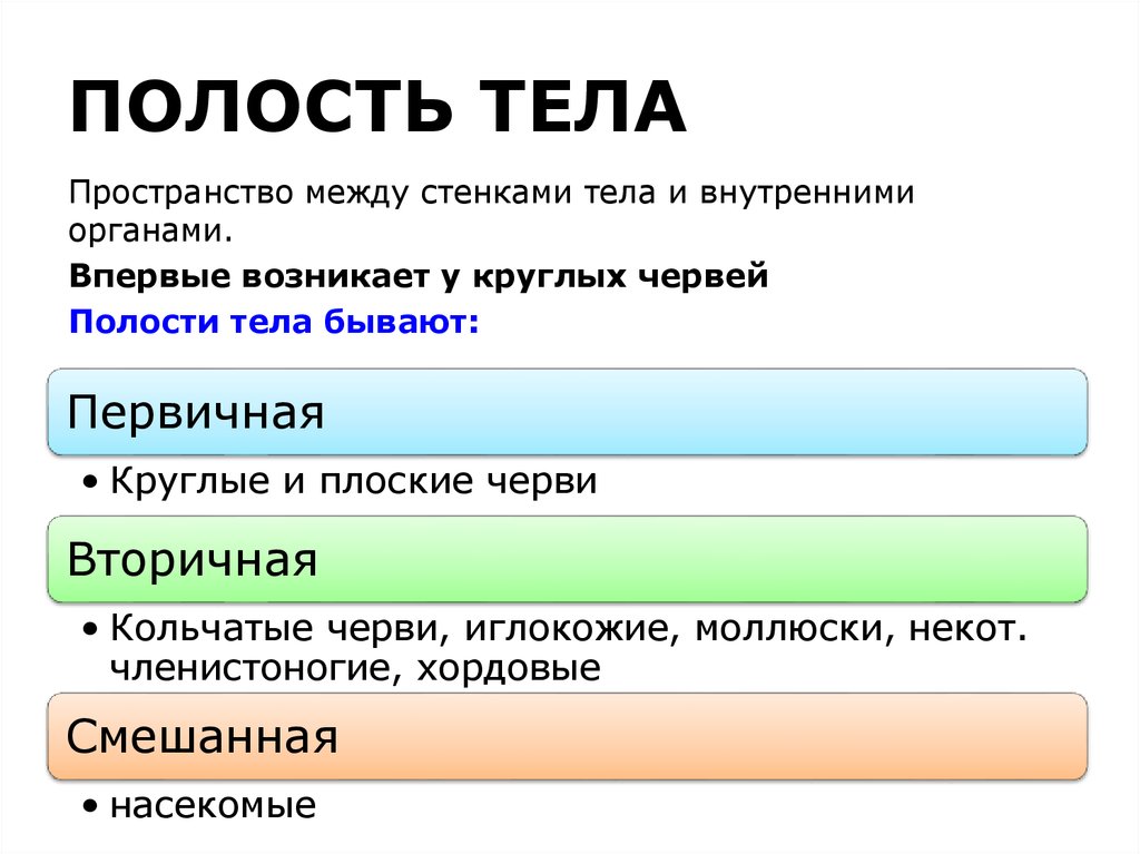 2 полость тела. Первичная и вторичная полости тела таблица. Полости тела первичная вторичная смешанная. Полости тела первичная вторичная смешанная таблица. Первичная полость тела это в биологии 7 класс.