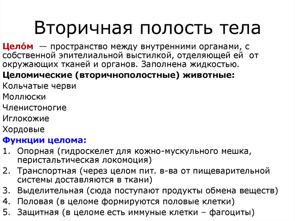 Имеет целом. Первичная и вторичная полость тела. Полости тела первичная вторичная смешанная. Первичная полость тела и вторичная полость тела. Первичная и вторичная полости тела таблица.