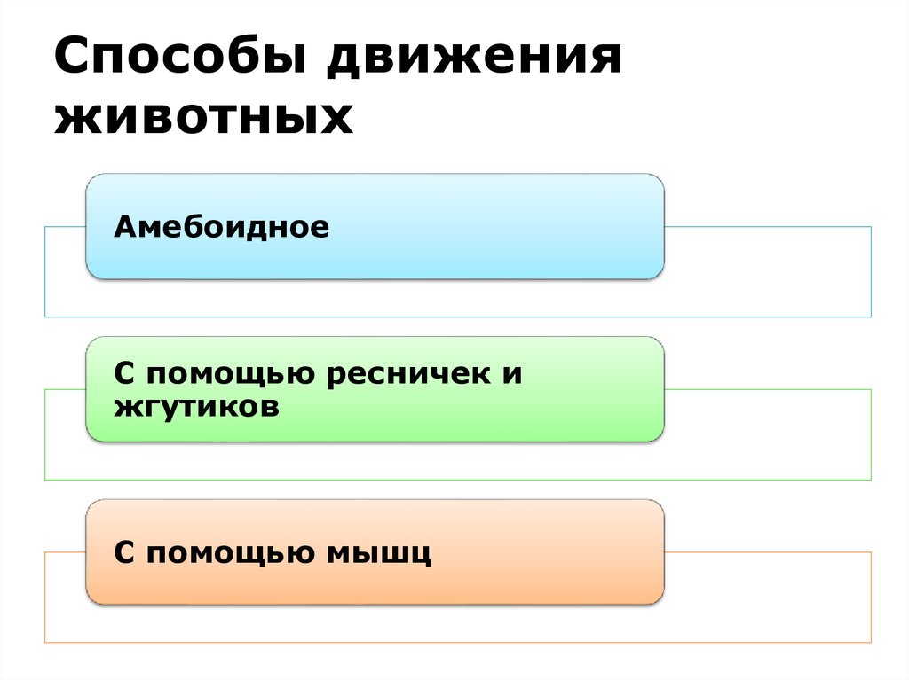 Покажи метод. Способы движения животных. Способы движения животных биология. Способ передвижения животного. Схема способы передвижения животных.