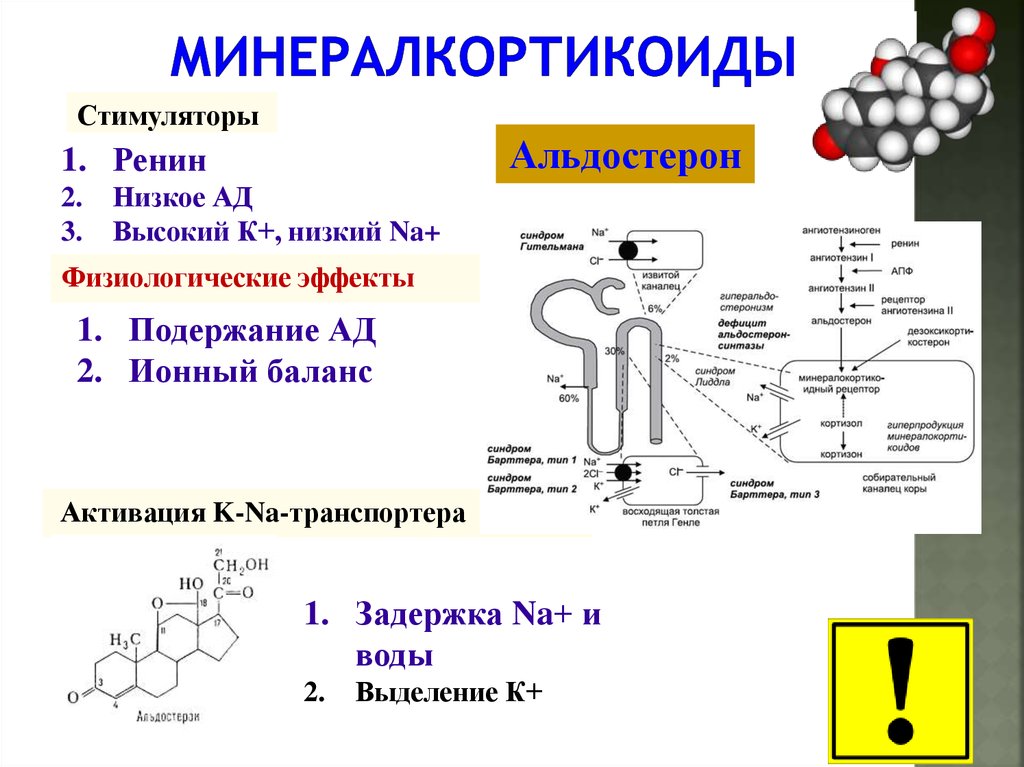 Синдром гительмана презентация