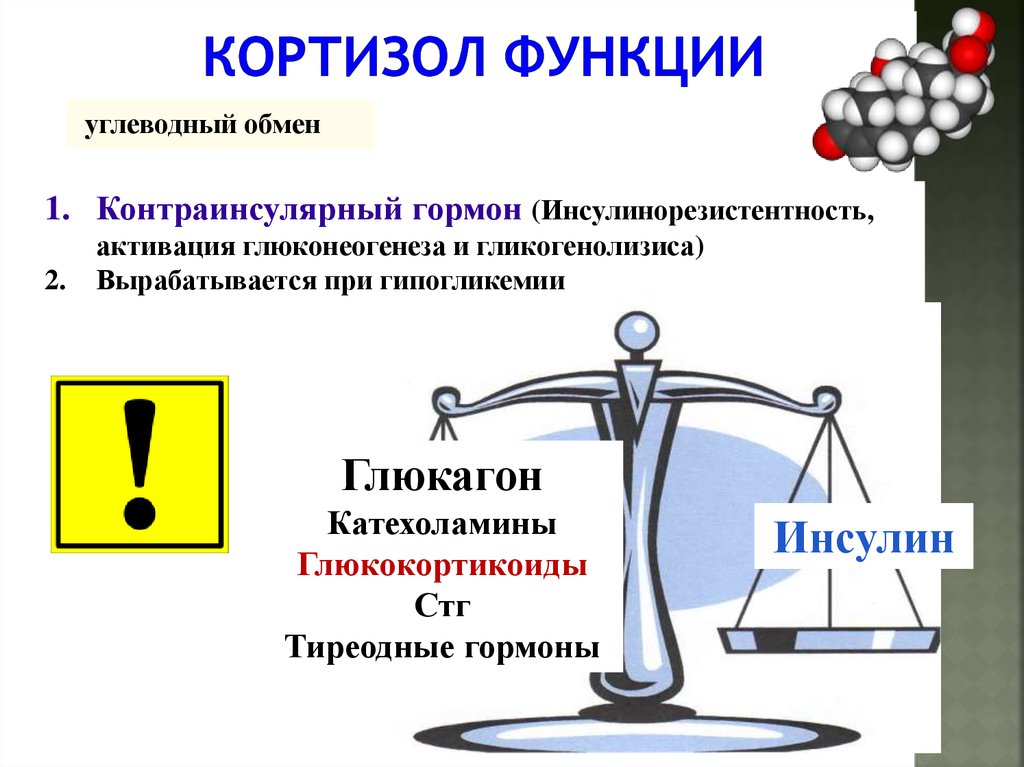 Гормон кортизол за что отвечает. Кортизон функции гормона. Основные функции кортизола. Кортизол функции гормона. Основная функция кортизола.