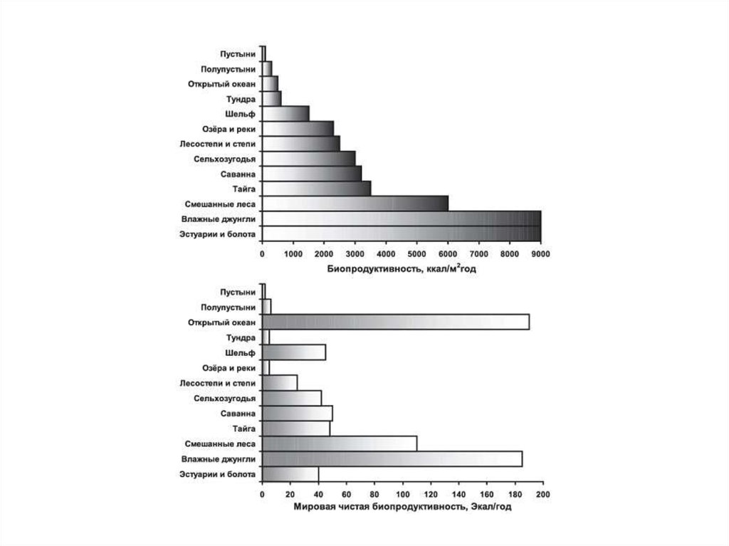Самая высокая биомасса растений и продуктивность. Биологическая продуктивность. Биологическая продуктивность океана. Биомасса первичной продукции. Биологическая продуктивность экосистем.