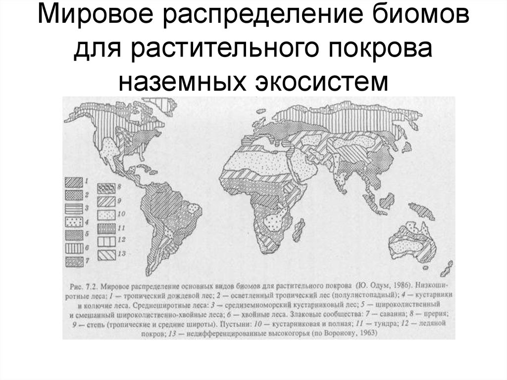 Чем водные биомы отличаются от наземных