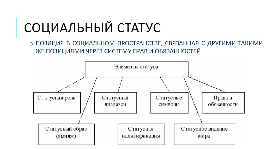 К социальным статусам относятся